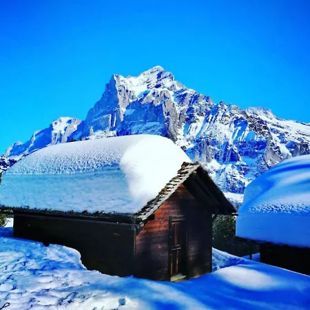 Thun Alps Scenic Views And Concierge By Swisshut * Därligen