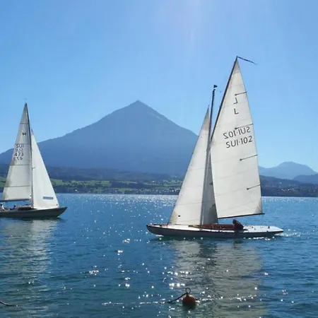 Lake Thun Alps Scenic Views And Concierge By Swisshut 아파트 Därligen