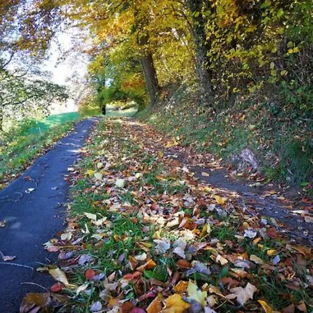 Thun Alps Scenic Views And Concierge By Swisshut Апартаменты