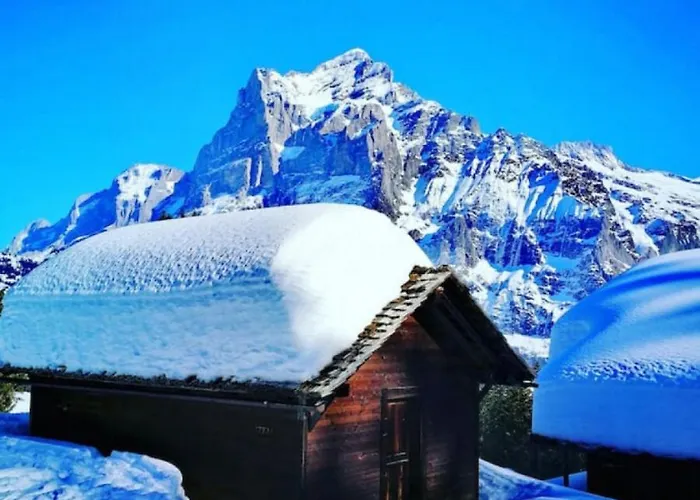 Thun Alps Scenic Views And Concierge By Swisshut * Därligen
