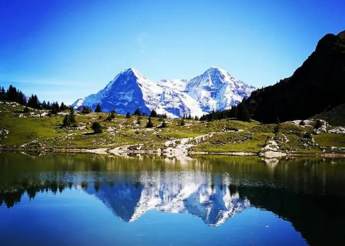 Διαμέρισμα Thun Alps Scenic Views And Concierge By Swisshut
