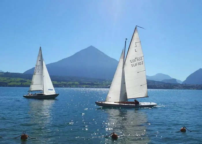 Thun Alps Scenic Views And Concierge By Swisshut Διαμέρισμα Därligen