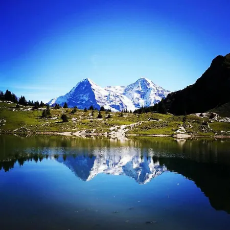 Διαμέρισμα Swisshut Stunning Views Alps - Du